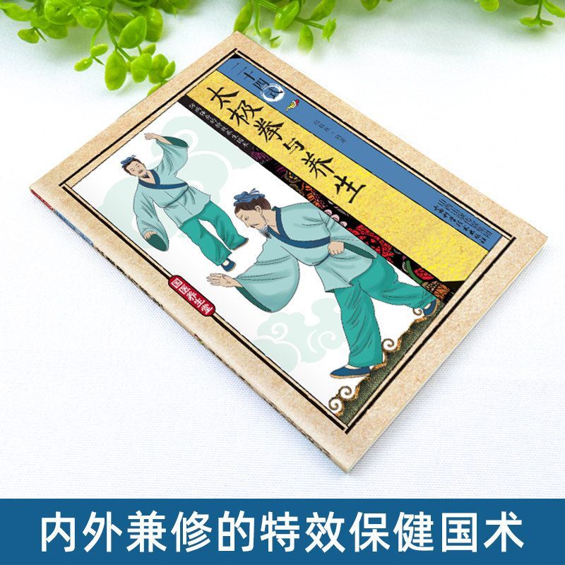 24 Estilos de Tai Chi y Ejerci - Health & Wellness Waiver Indiana reseña y precio