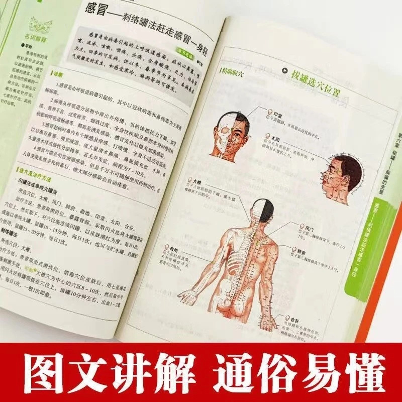 Serie de Salud y Bienestar Hol - Holistic Health & Wellness reseña y precio