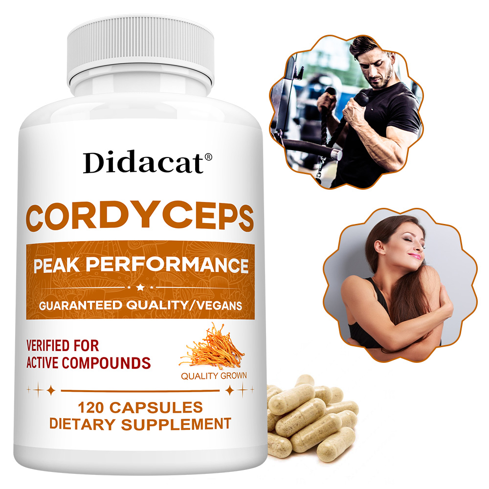 Cápsulas de hongos Cordyceps 1 - Health Wellness Energy reseña y precio