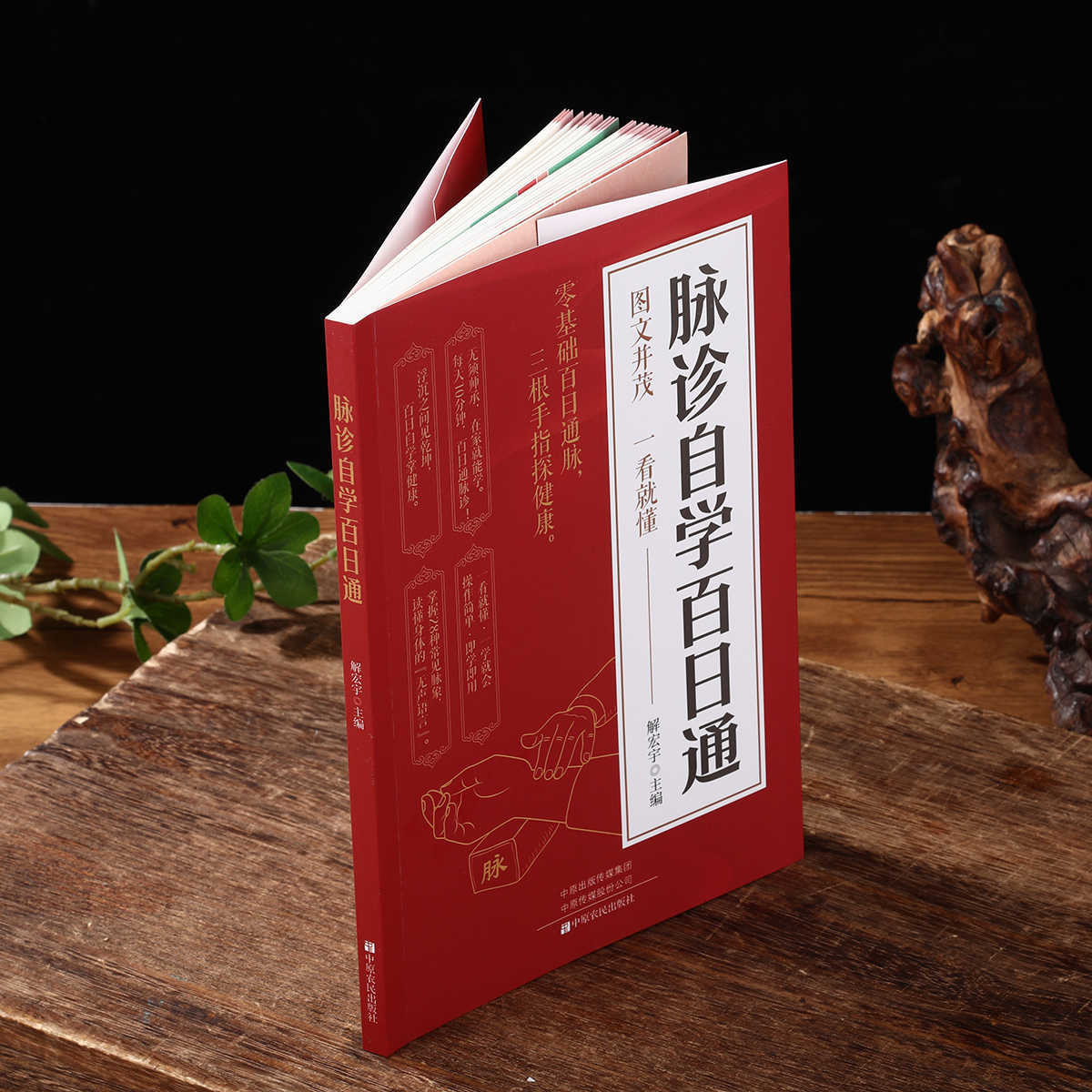 Libro de autoestudio sobre dia - Health & Wellness Waiver Indiana reseña y precio