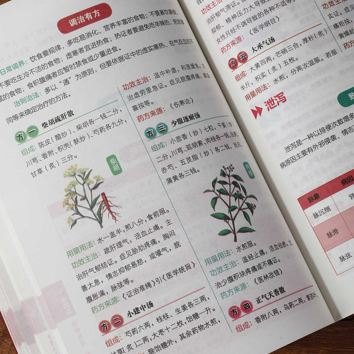 Libro de autoestudio sobre dia - Health & Wellness Waiver Indiana reseña y precio